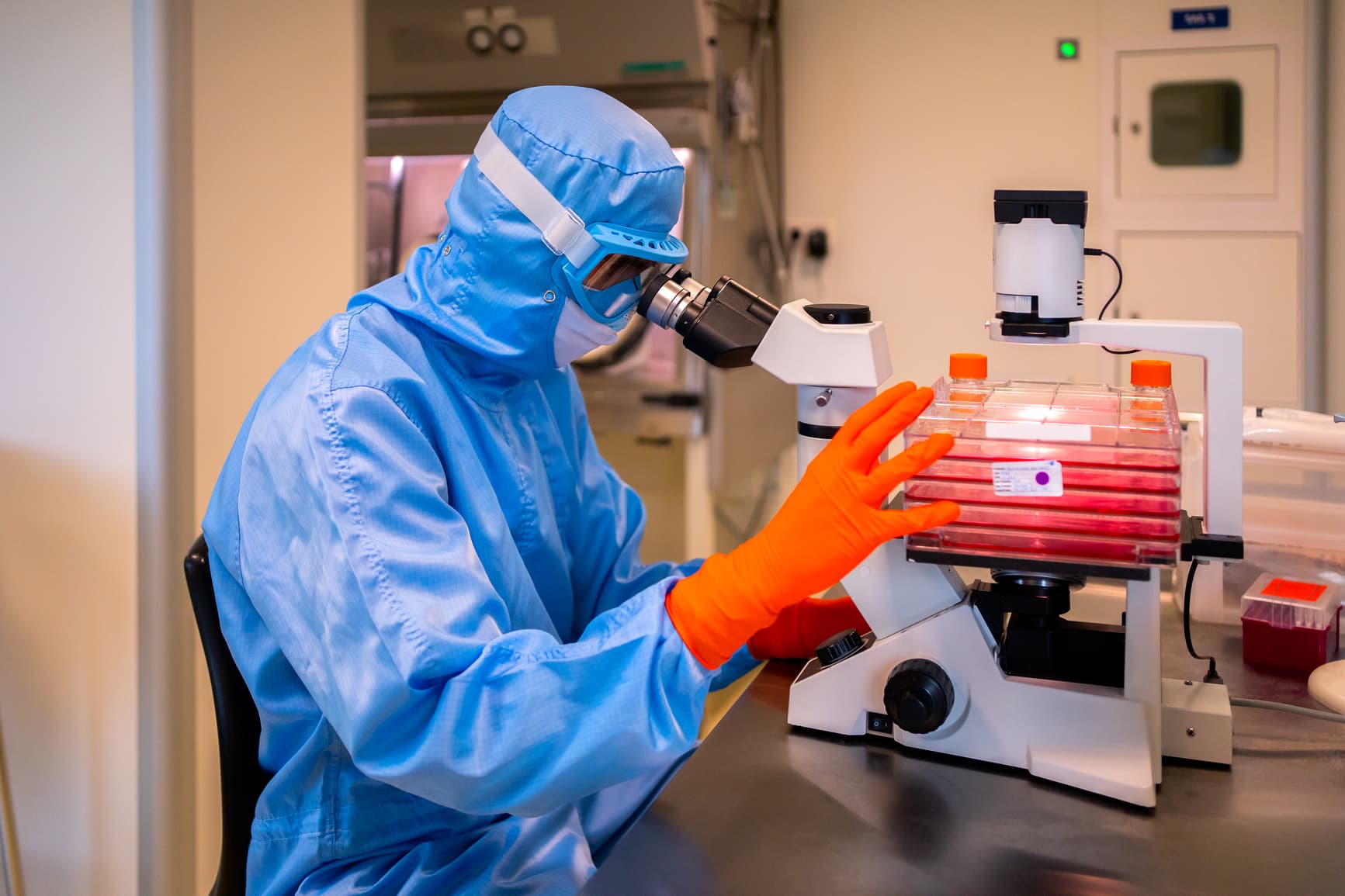 A lab technician looking through a microscope in a blue PPE suit, and bright orange gloves.